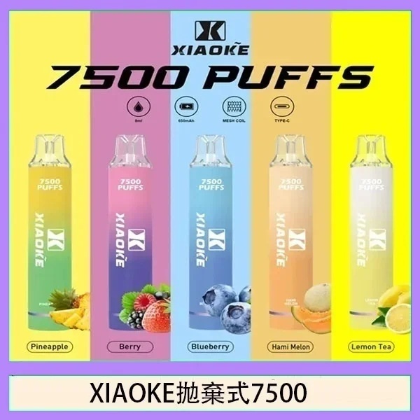 XIAOKE 梟客拋棄式電子煙7500口｜一次性可充電・發光